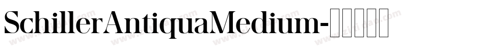 SchillerAntiquaMedium字体转换 SchillerAntiquaMedium字体转换