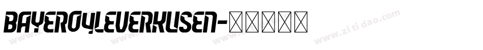 Bayer04Leverkusen字体转换