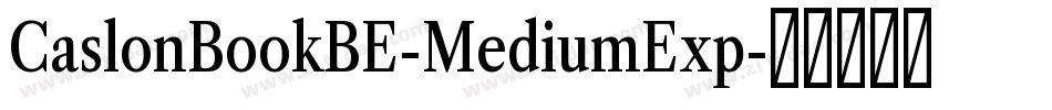 CaslonBookBE-MediumExp字体转换 CaslonBookBE-MediumExp字体转换