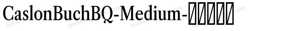CaslonBuchBQ-Medium字体转换 CaslonBuchBQ-Medium字体转换