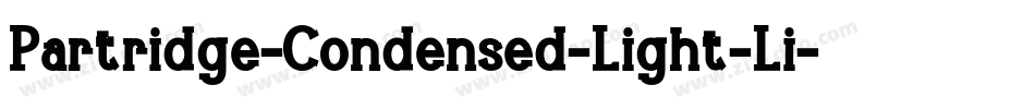 Partridge-Condensed-Light-Li字体转换