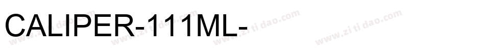 CALIPER-111ML字体转换