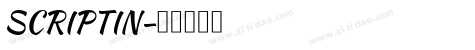 SCRIPTIN字体转换