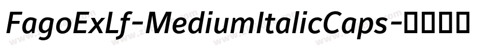 FagoExLf-MediumItalicCaps字体转换