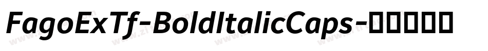 FagoExTf-BoldItalicCaps字体转换