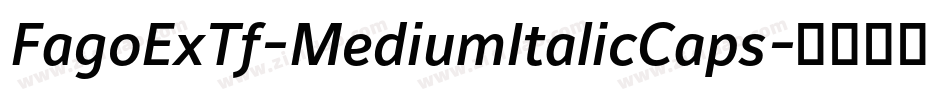 FagoExTf-MediumItalicCaps字体转换