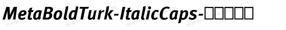 MetaBoldTurk-ItalicCaps字体转换