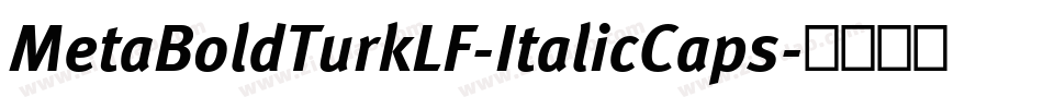 MetaBoldTurkLF-ItalicCaps字体转换