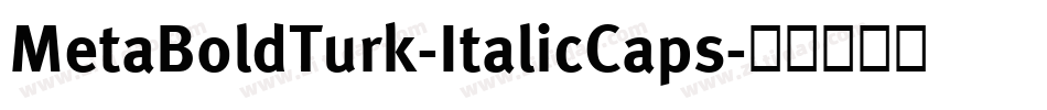 MetaBoldTurk-ItalicCaps字体转换