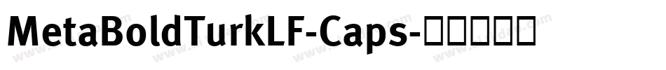 MetaBoldTurkLF-Caps字体转换