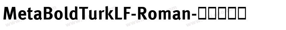 MetaBoldTurkLF-Roman字体转换