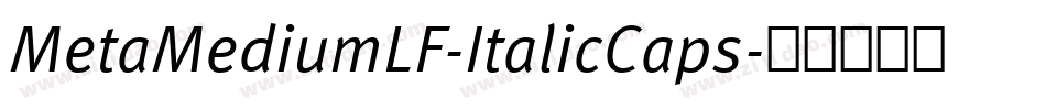 MetaMediumLF-ItalicCaps字体转换