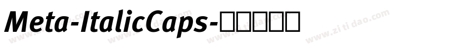 Meta-ItalicCaps字体转换 Meta-ItalicCaps字体转换