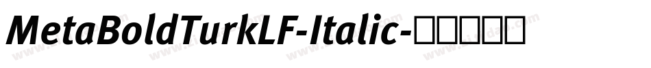 MetaBoldTurkLF-Italic字体转换