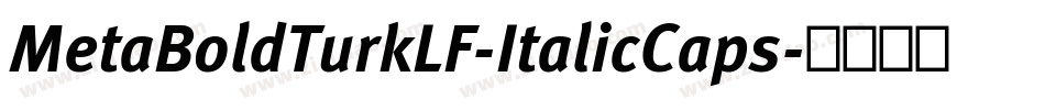 MetaBoldTurkLF-ItalicCaps字体转换