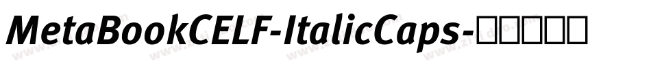 MetaBookCELF-ItalicCaps字体转换