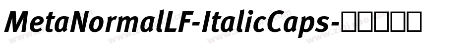 MetaNormalLF-ItalicCaps字体转换