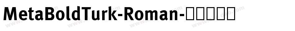 MetaBoldTurk-Roman字体转换