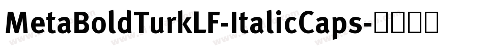 MetaBoldTurkLF-ItalicCaps字体转换