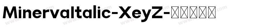 MinervaItalic-XeyZ字体转换
