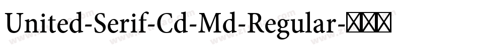 United-Serif-Cd-Md-Regular字体转换
