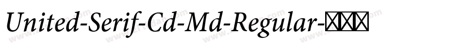 United-Serif-Cd-Md-Regular字体转换