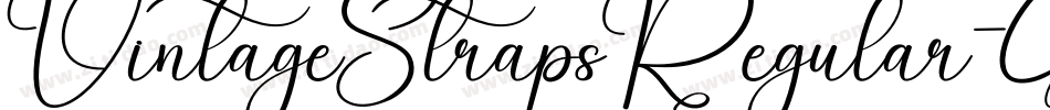 VintageStrapsRegular-GwlA字体转换