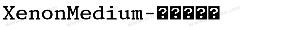 XenonMedium字体转换