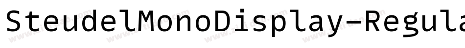 SteudelMonoDisplay-Regular字体转换