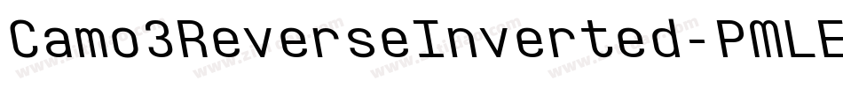 Camo3ReverseInverted-PMLE字体转换