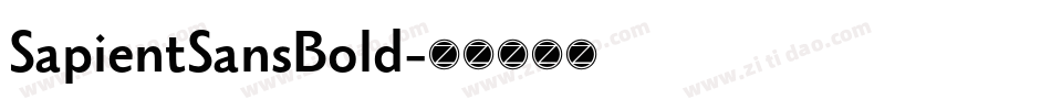 SapientSansBold字体转换