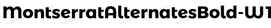 MontserratAlternatesBold-W1qO字体转换