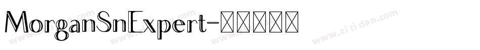 MorganSnExpert字体转换