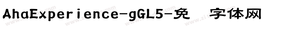 AhaExperience-gGL5字体转换