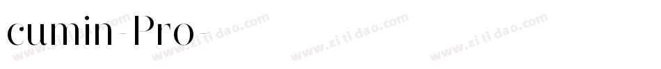 cumin-Pro字体转换