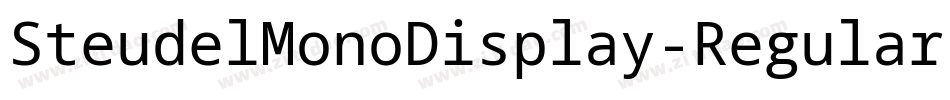 SteudelMonoDisplay-Regular字体转换
