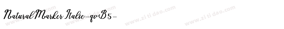 NaturalMarkerItalic-qvB5字体转换