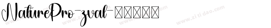 NaturePro-zval字体转换