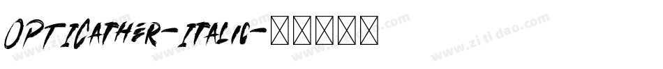 OPTICather-Italic字体转换