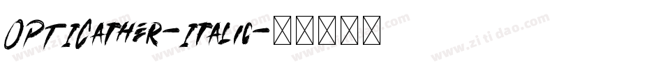 OPTICather-Italic字体转换