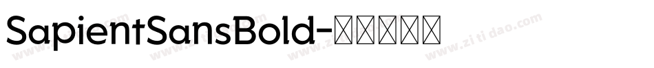 SapientSansBold字体转换