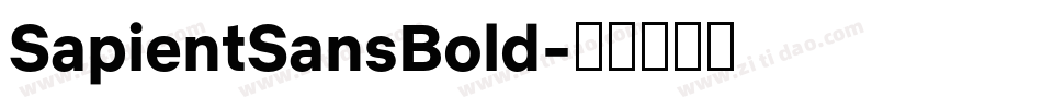 SapientSansBold字体转换