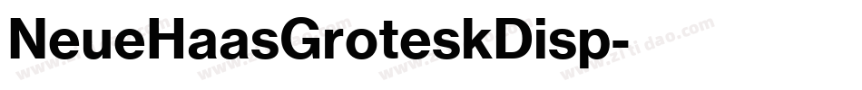 NeueHaasGroteskDisp字体转换