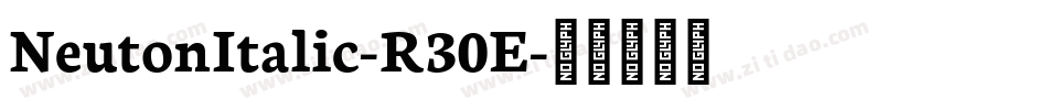 NeutonItalic-R30E字体转换