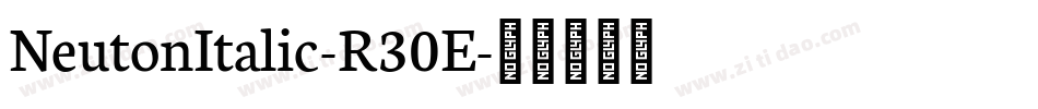 NeutonItalic-R30E字体转换