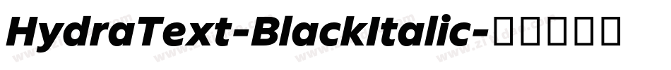 HydraText-BlackItalic字体转换