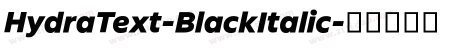 HydraText-BlackItalic字体转换