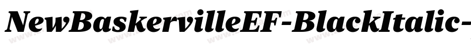 NewBaskervilleEF-BlackItalic字体转换 NewBaskervilleEF-BlackItalic字体转换