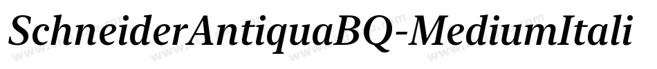 SchneiderAntiquaBQ-MediumItalic字体转换
