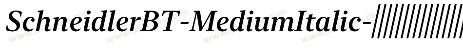 SchneidlerBT-MediumItalic字体转换 SchneidlerBT-MediumItalic字体转换